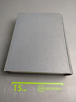 Девятьсот дней