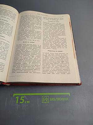 Овощи, фрукты, грибы: Лучшие рецепты мировой кухни