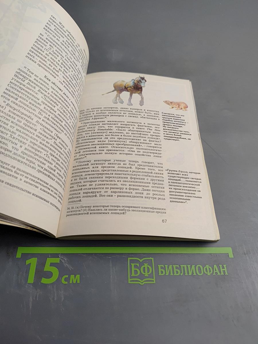 Жизнь — как она возникла? Путем эволюции или путем сотворения?