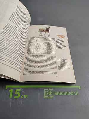 Жизнь — как она возникла? Путем эволюции или путем сотворения?