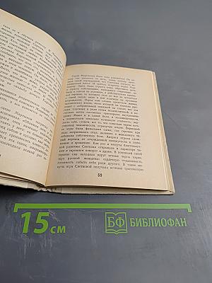 Фанни Снеткова. «Царица грез театрального Петербурга»