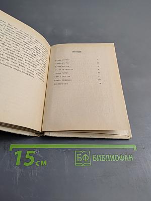 Фанни Снеткова. «Царица грез театрального Петербурга»