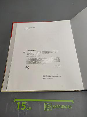 Поезд «Сапсан» и все-все-все