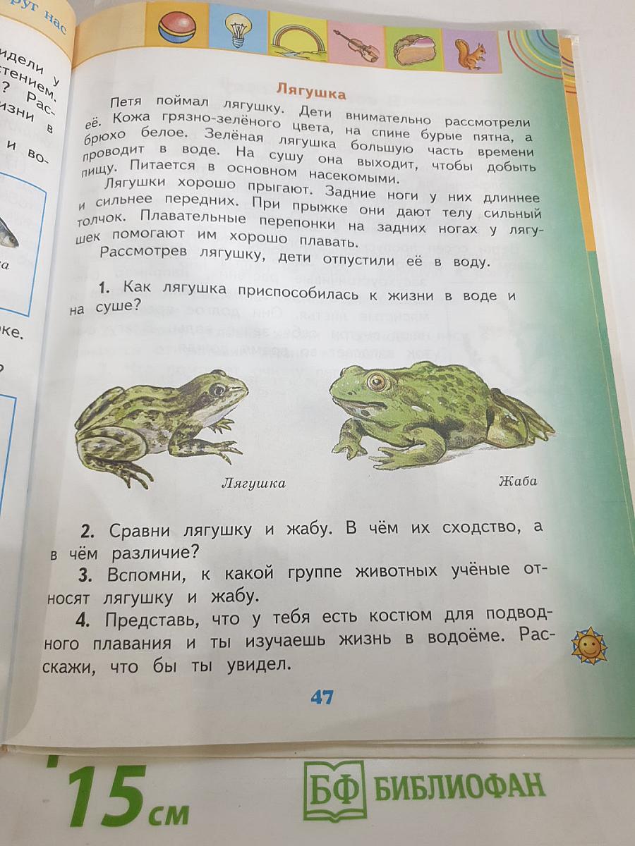 Окружающий мир 2 класс Часть 2