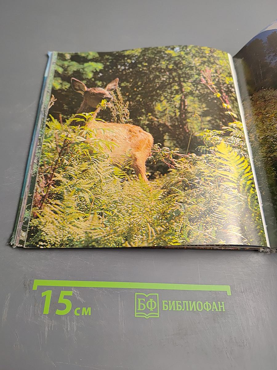 Алтайский заповедник