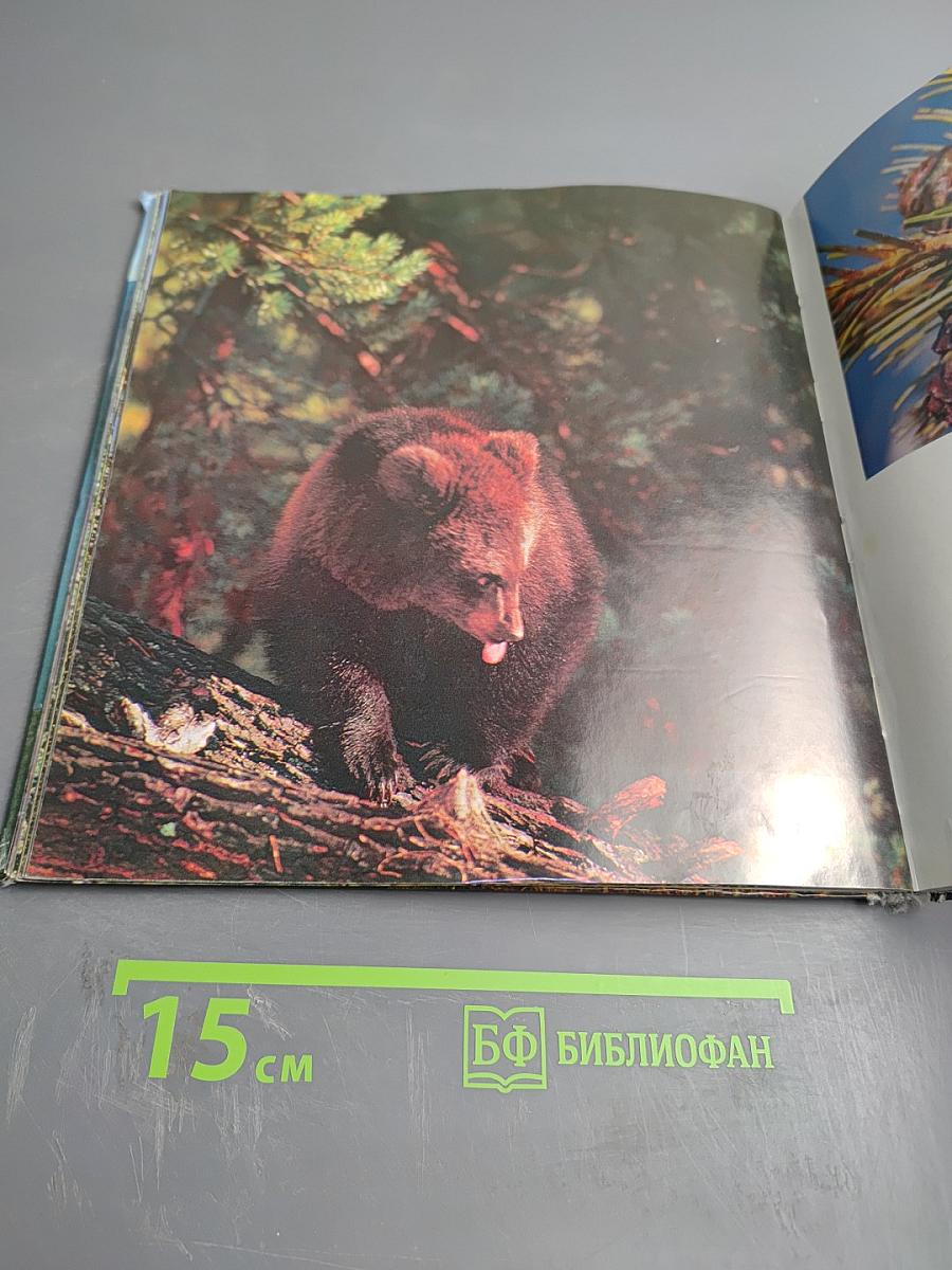 Алтайский заповедник