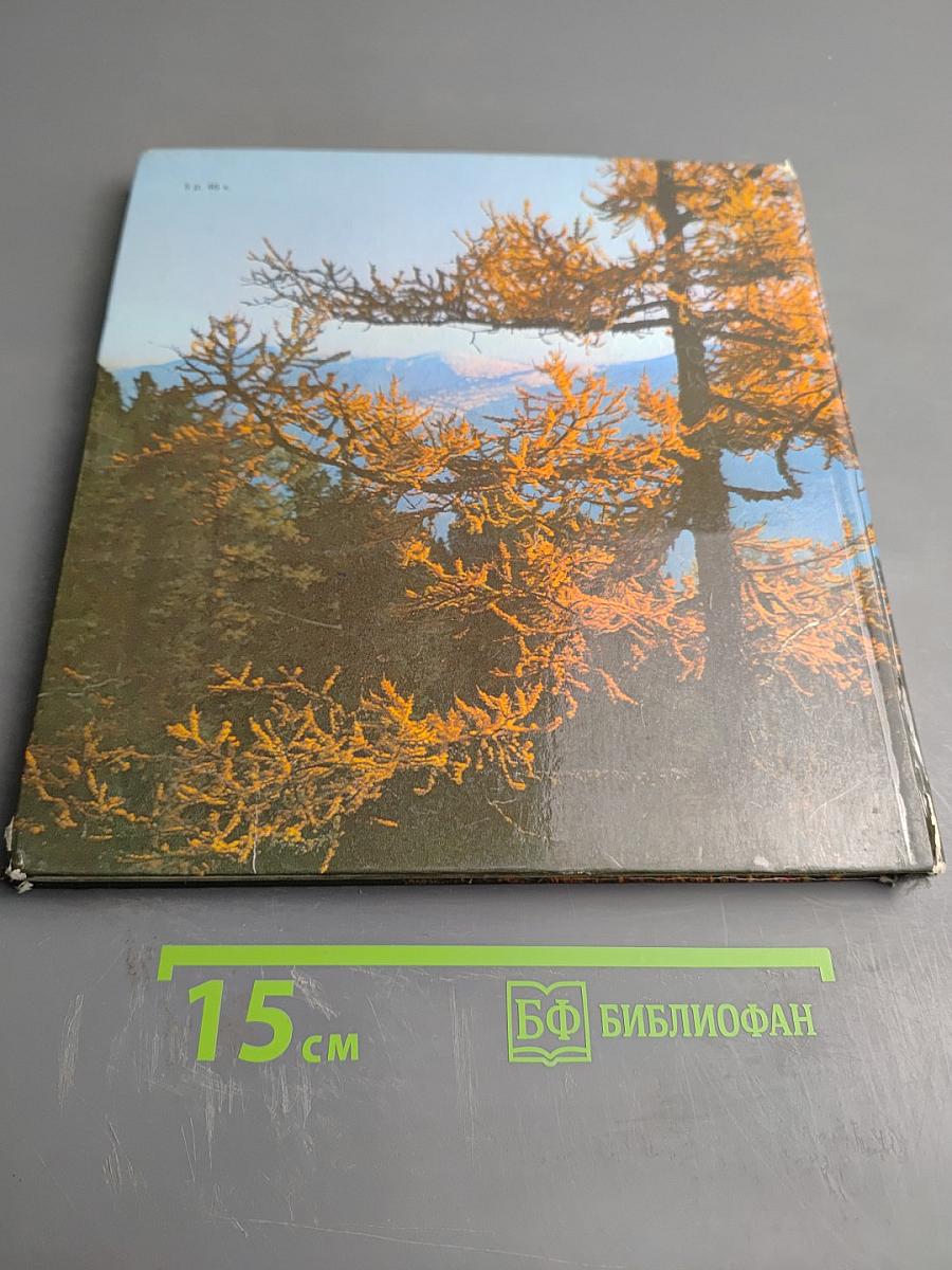 Алтайский заповедник