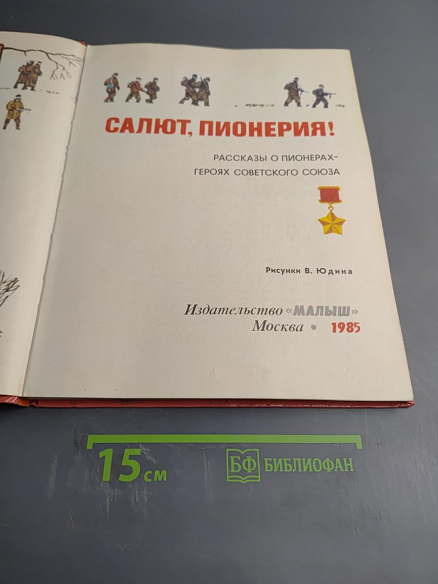 Салют, Пионерия!