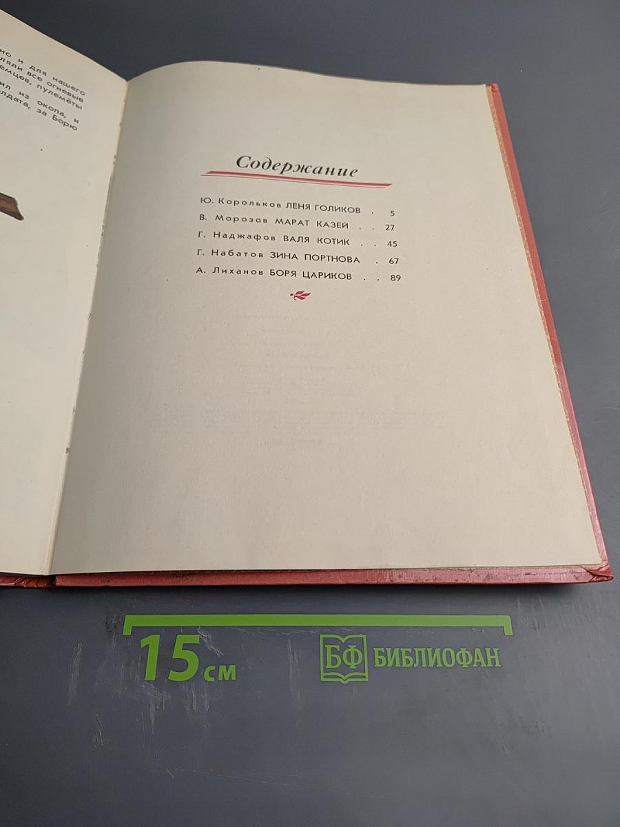 Салют, Пионерия!