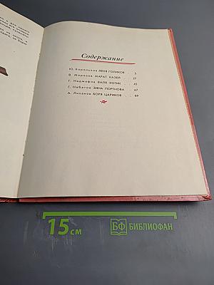 Салют, Пионерия!