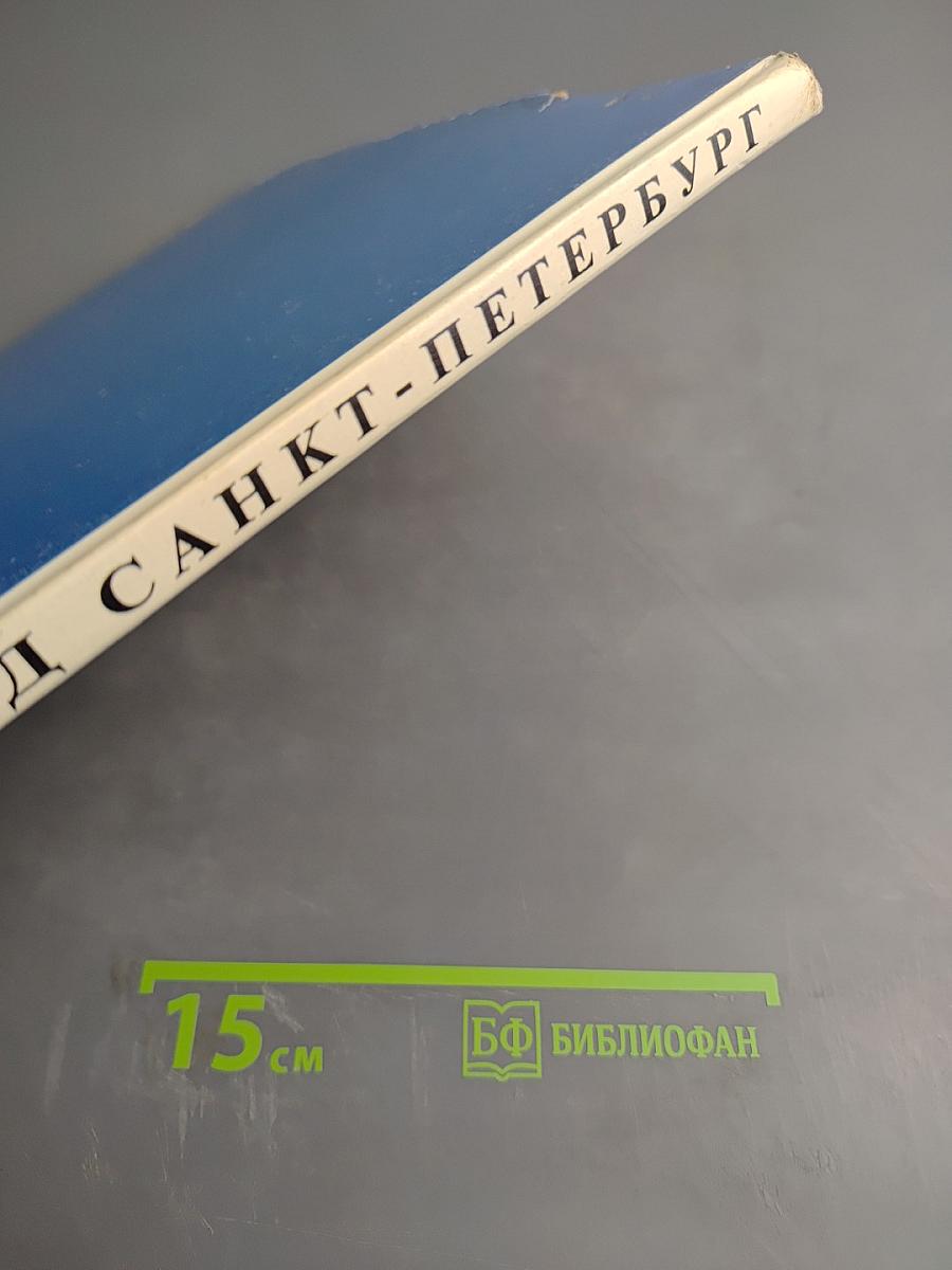 Наш город Санкт-Петербург. Путешествие с Архивариусом через три столетия. Книга для семейного чтения. Часть II