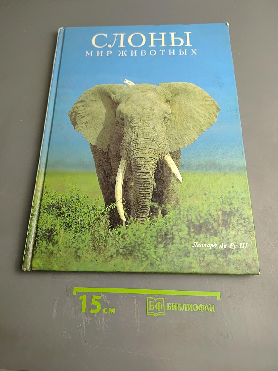 Слоны. Мир животных