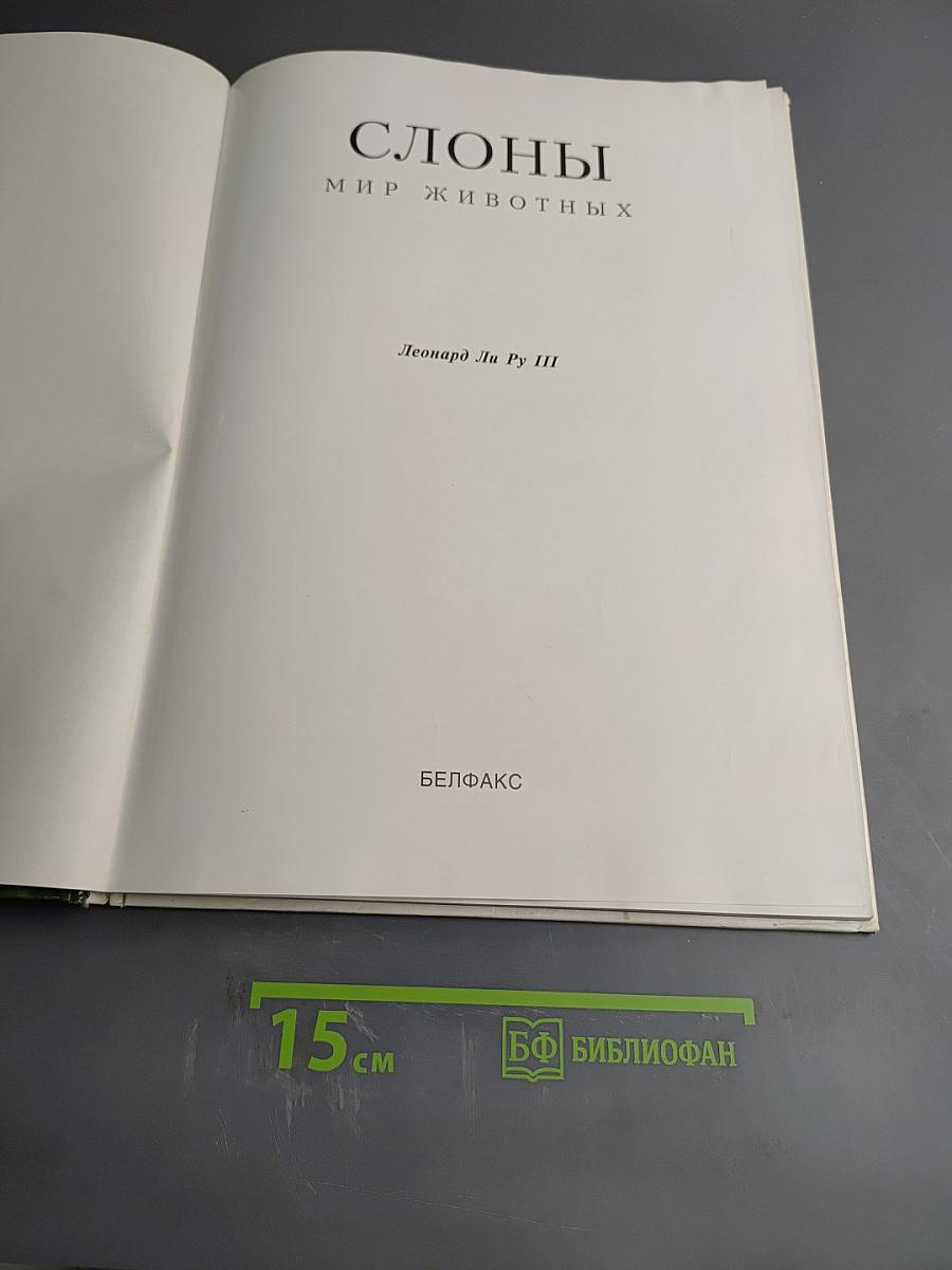 Слоны. Мир животных