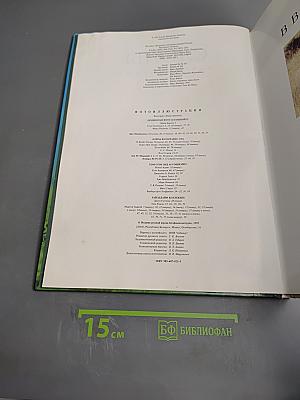 Слоны. Мир животных