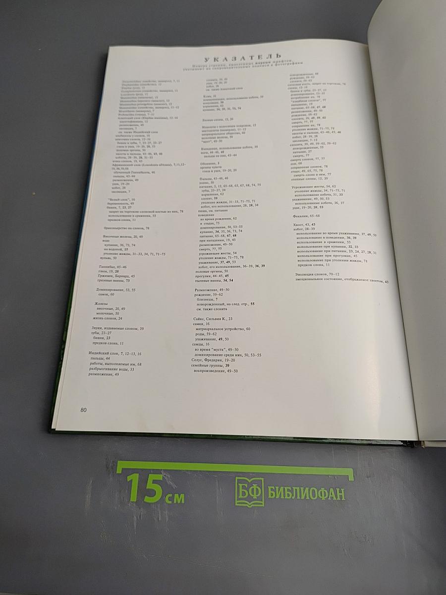 Слоны. Мир животных