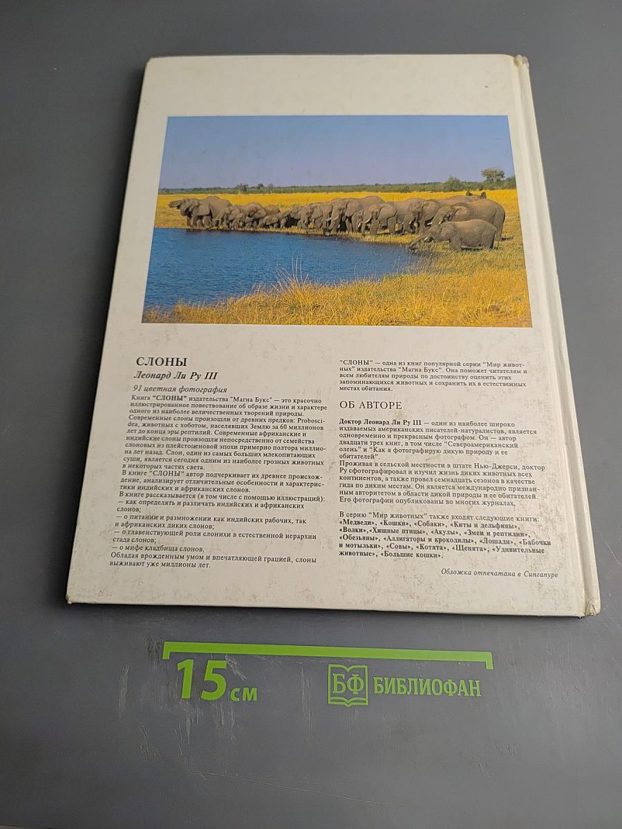 Слоны. Мир животных