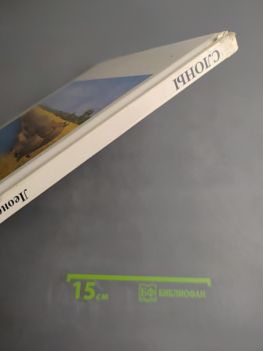 Слоны. Мир животных