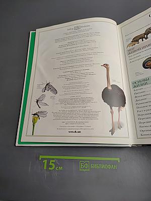 Природа. Энциклопедия