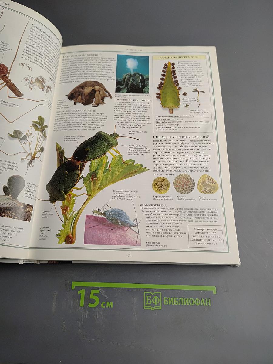 Природа. Энциклопедия