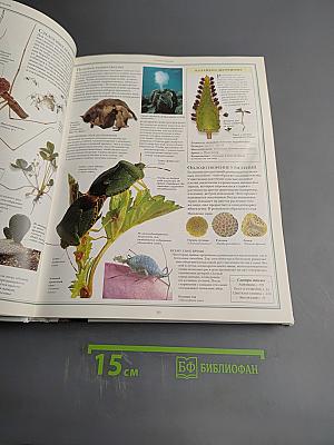 Природа. Энциклопедия