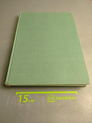 On the Electroencephalogram of Man