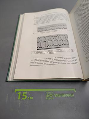 On the Electroencephalogram of Man