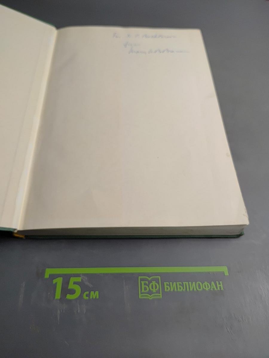 On the Electroencephalogram of Man