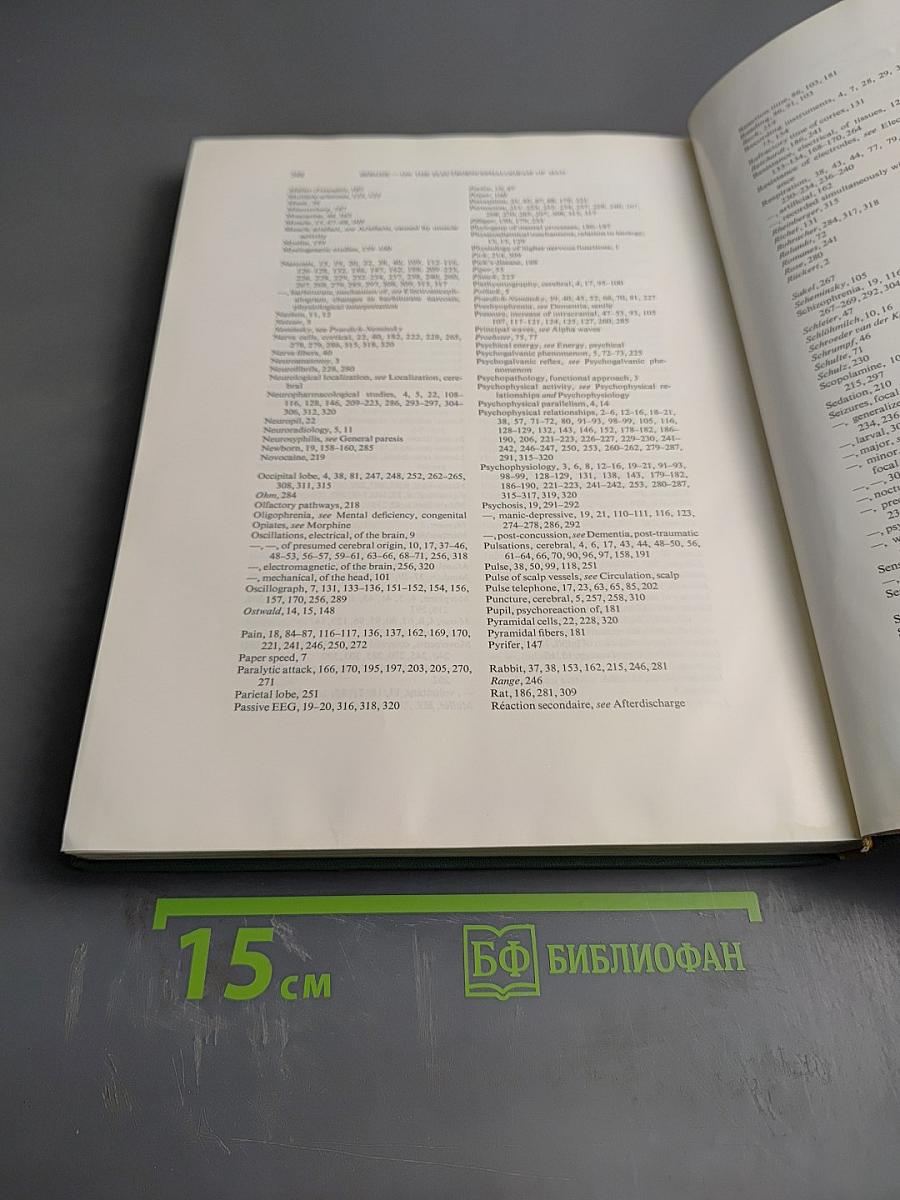 On the Electroencephalogram of Man