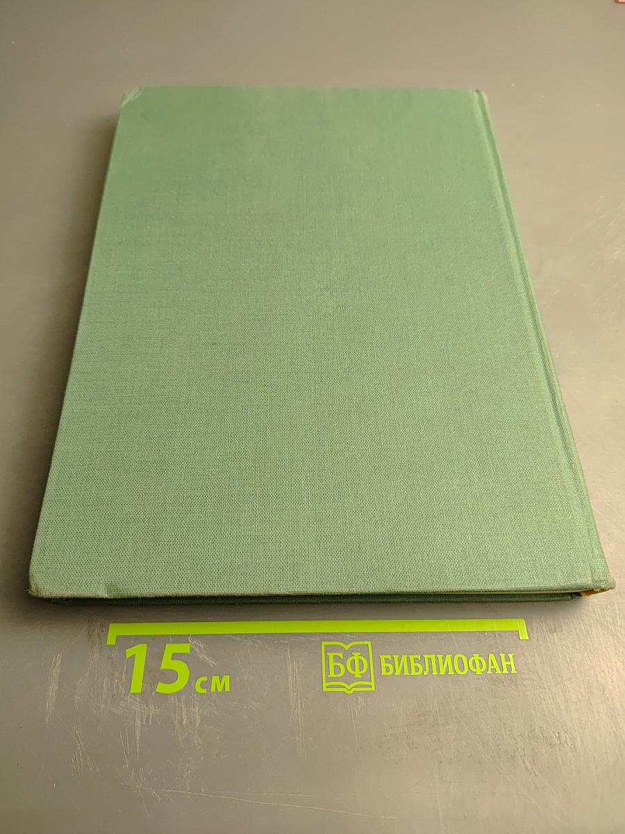 On the Electroencephalogram of Man