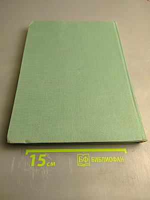 On the Electroencephalogram of Man