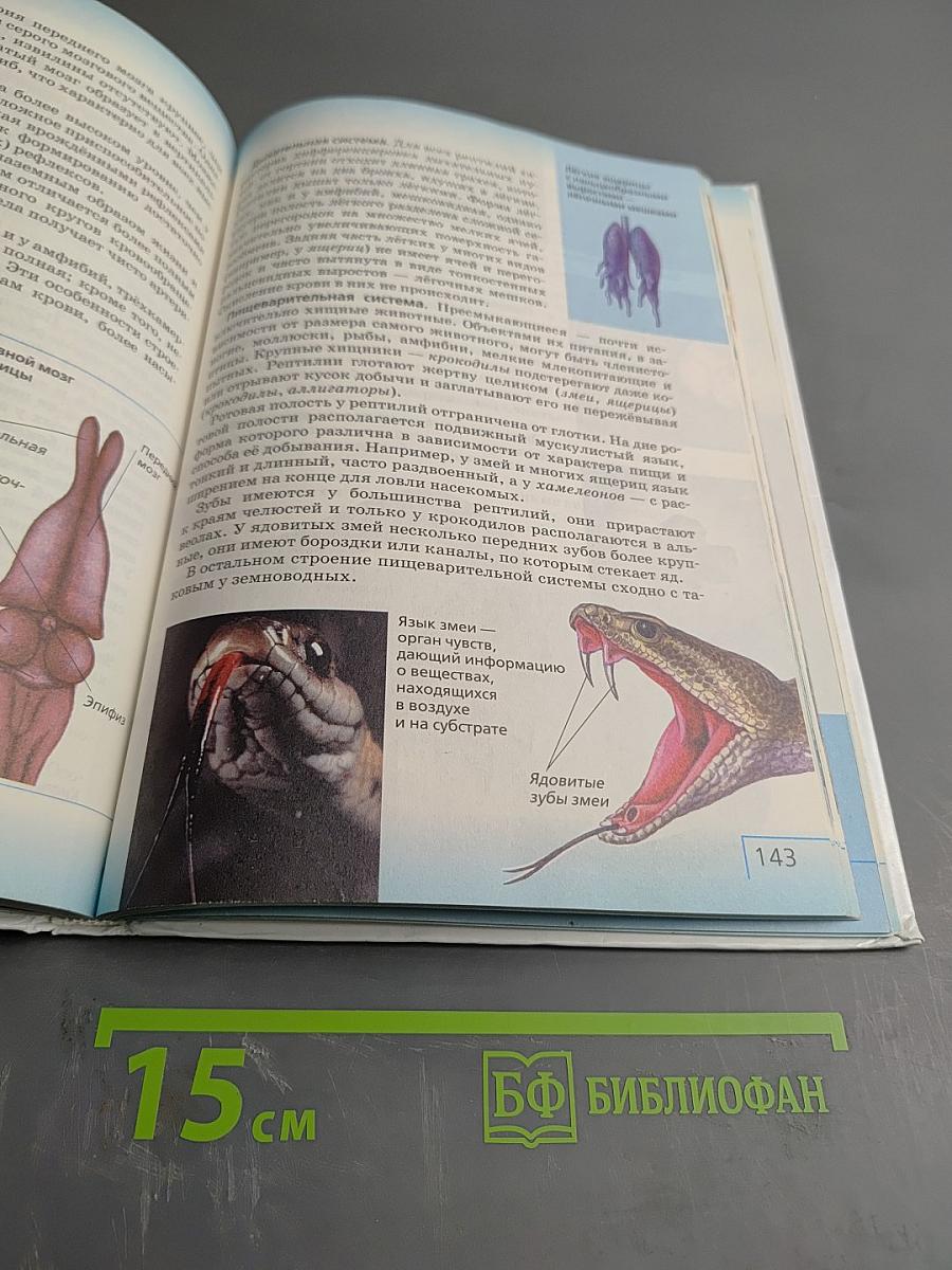 Биология. Многообразие живых организмов. Животные. 8 класс