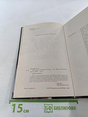 Брат. Мсти за любовь