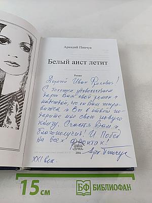 Белый аист летит