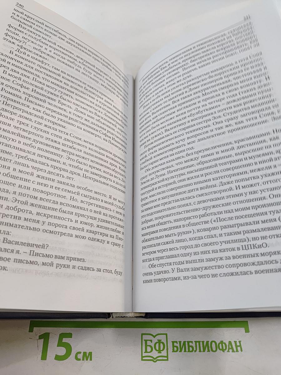 Белый аист летит