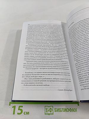 Белый аист летит