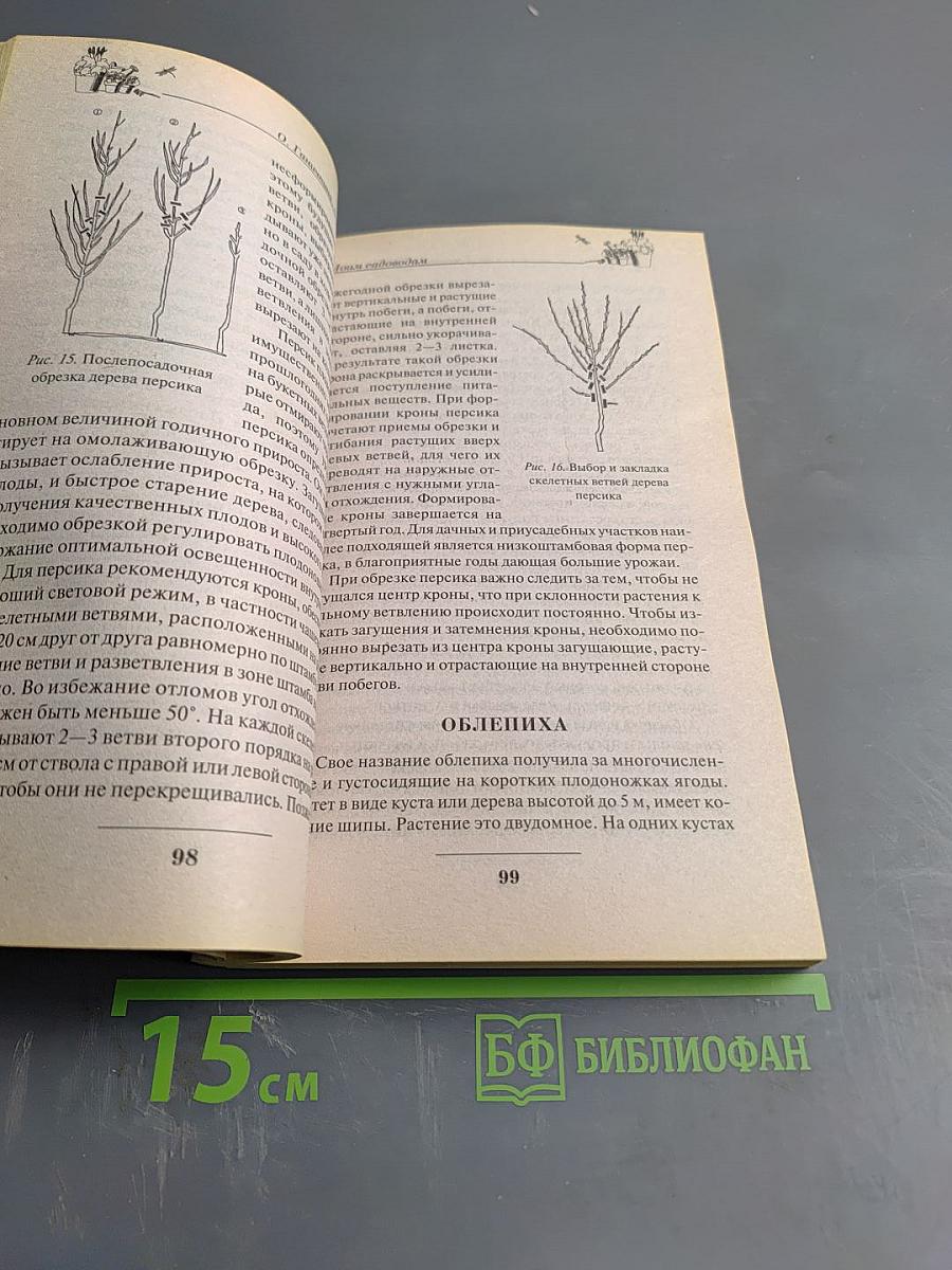 Моим садоводам