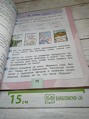 Литературное чтение. 2 класс. Часть 2
