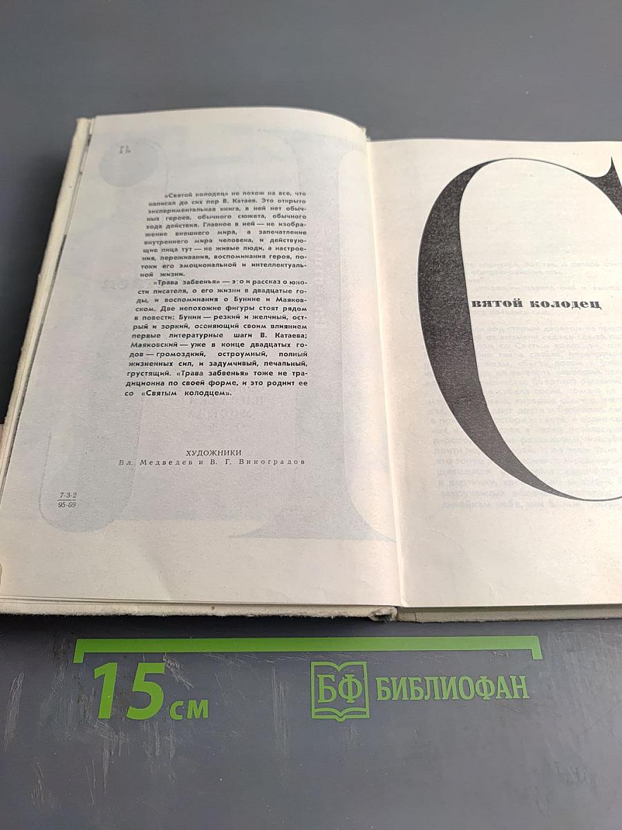 Святой колодец. Трава забвенья