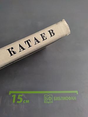 Святой колодец. Трава забвенья