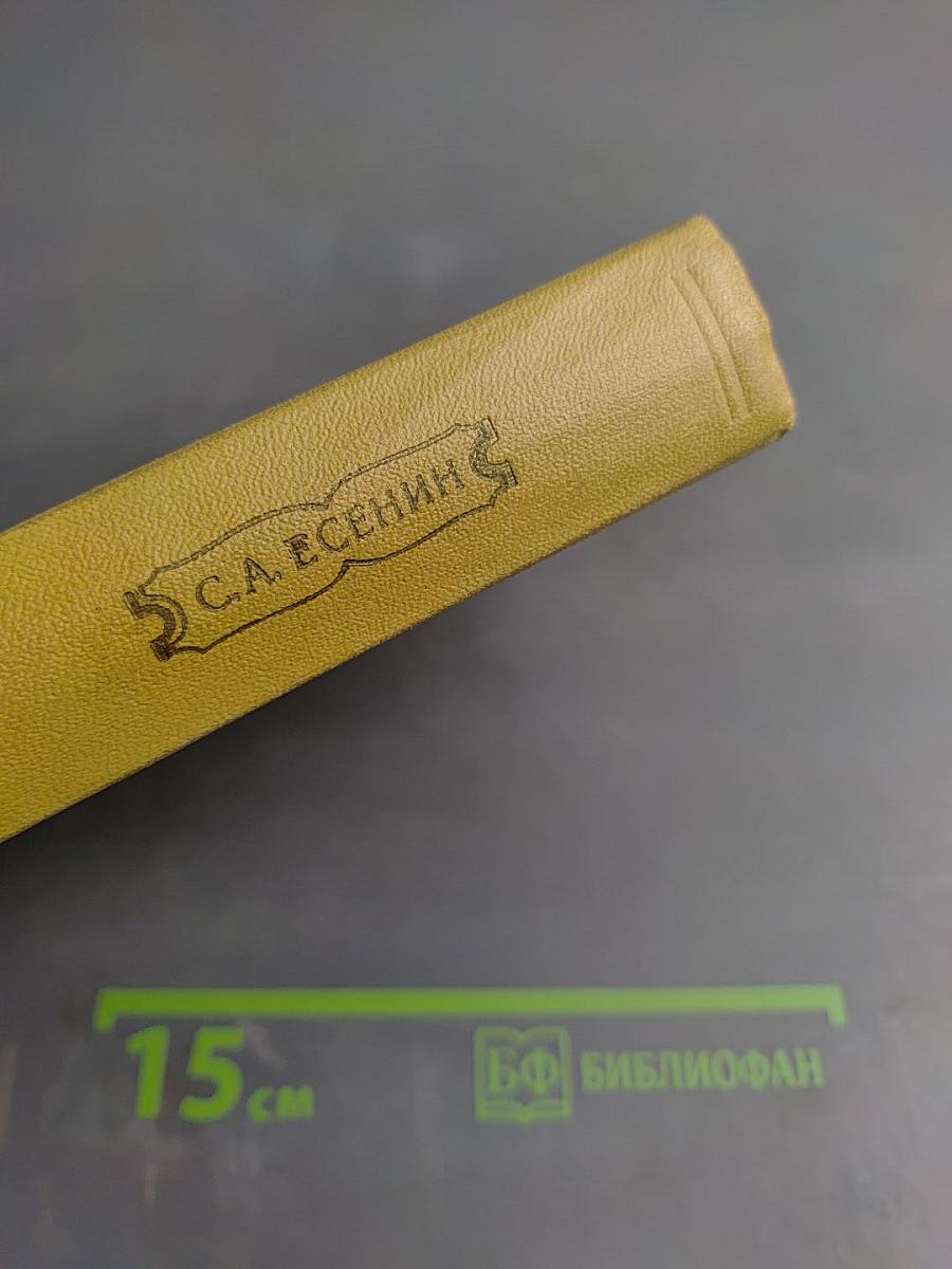 Собрание сочинений. Том 1. Стихотворения