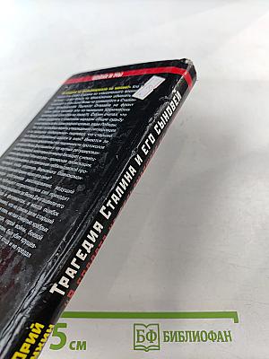 Трагедия Сталина и его сыновей «Я солдата на фельдмаршала не меняю!»