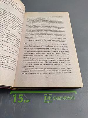 Флибустьер «Ворон»