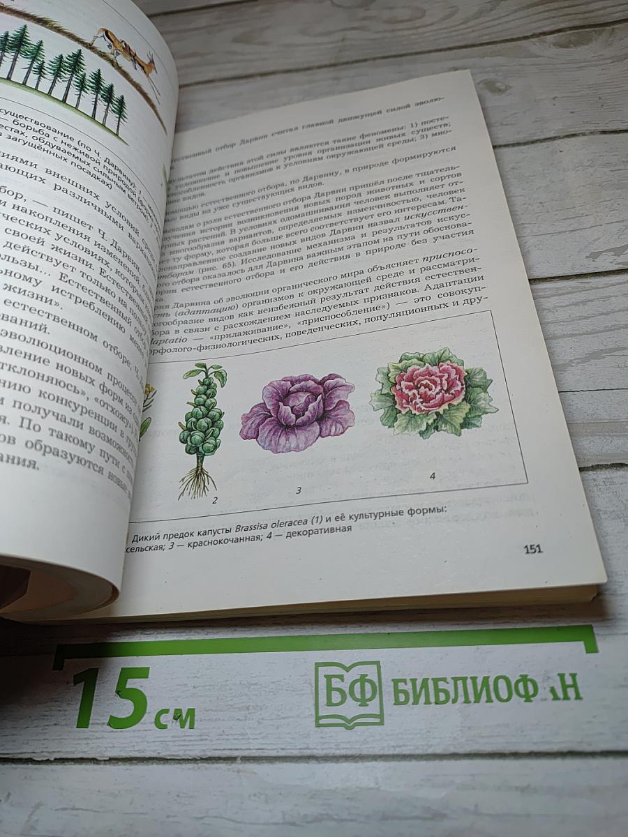 Биология 9 класс