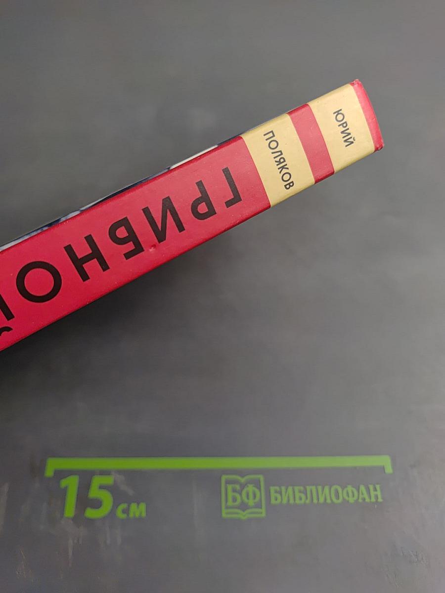 Грибной царь