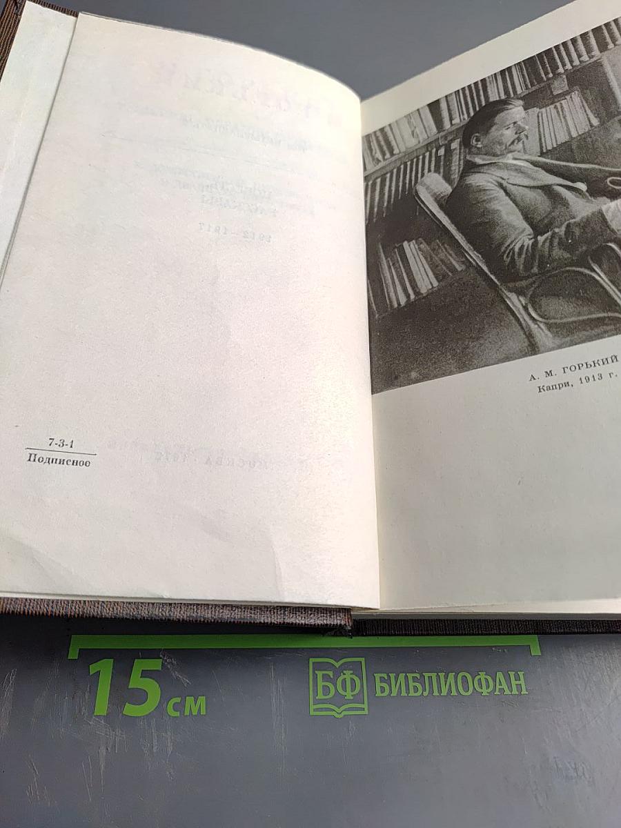 Полное собрание художественных произведений. Том четырнадцатый. Повесть. Рассказы. 1912-1917