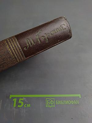 Полное собрание художественных произведений. Том четырнадцатый. Повесть. Рассказы. 1912-1917