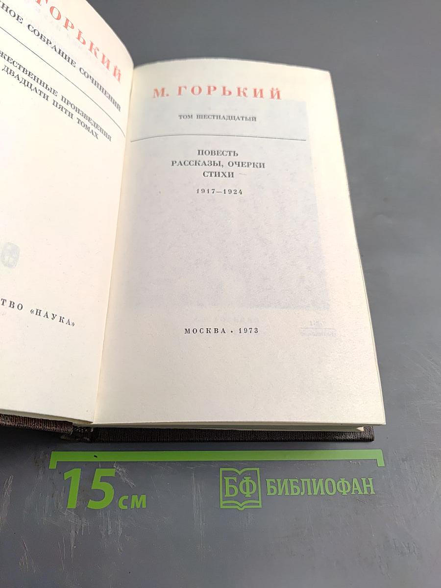 Собрание сочинений. Том шестнадцатый: Повесть, рассказы, очерки, стихи 1917-1924