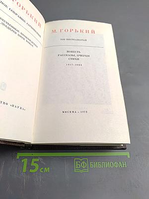 Собрание сочинений. Том шестнадцатый: Повесть, рассказы, очерки, стихи 1917-1924