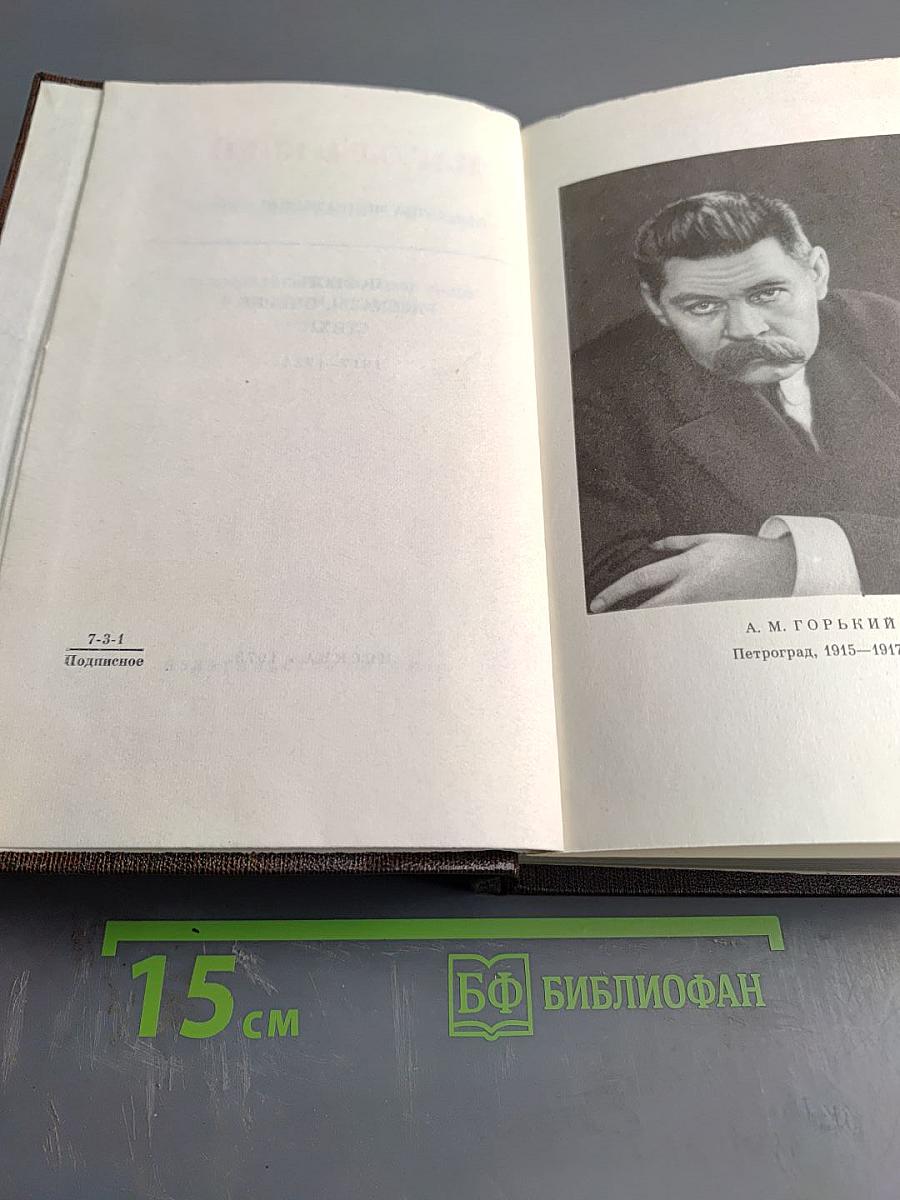 Собрание сочинений. Том шестнадцатый: Повесть, рассказы, очерки, стихи 1917-1924