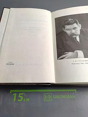 Собрание сочинений. Том шестнадцатый: Повесть, рассказы, очерки, стихи 1917-1924